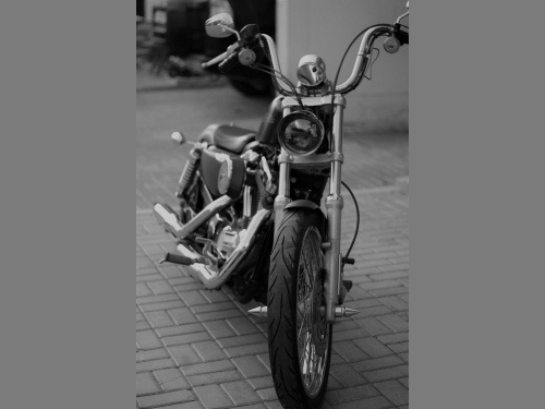 Harley Davidson... 2013